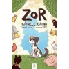 Zor, câinele găină